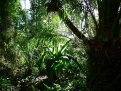 p1040004