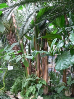 p1040149