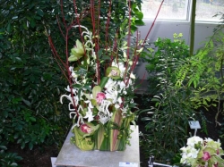 p1040020