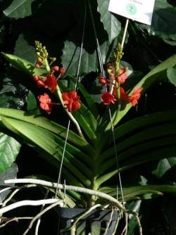 p1040059