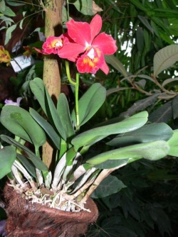 p1040093