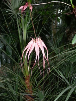 p1040133