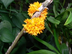 p1040172