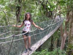 Kadka linowa, Poring Hot Spring w Kinabalu Park