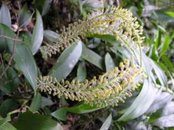 Do okrelenia