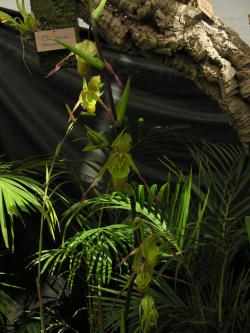 7w