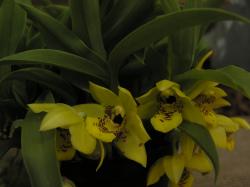 9a