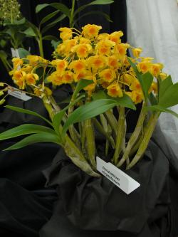 10a