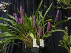 10b